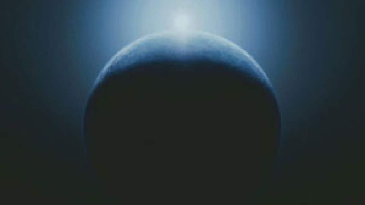 Tree-of-Life_blog_301_603927883