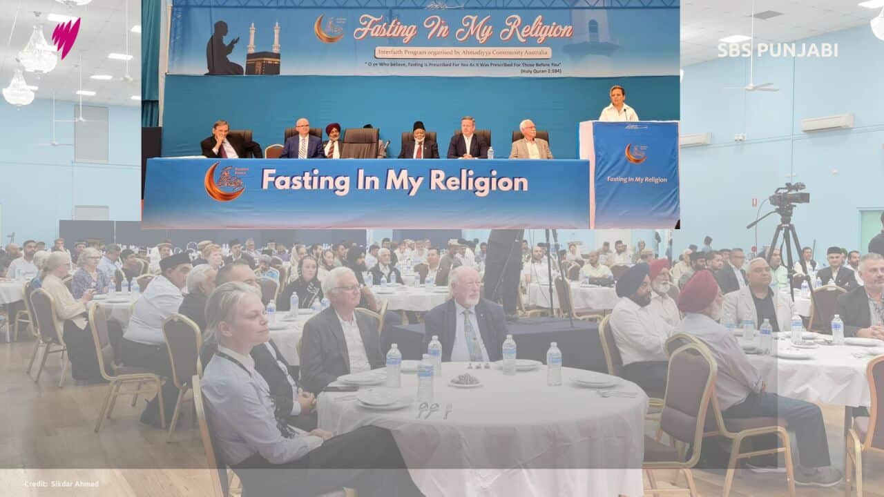 MP's 16x9 (Presentation) (1).jpg