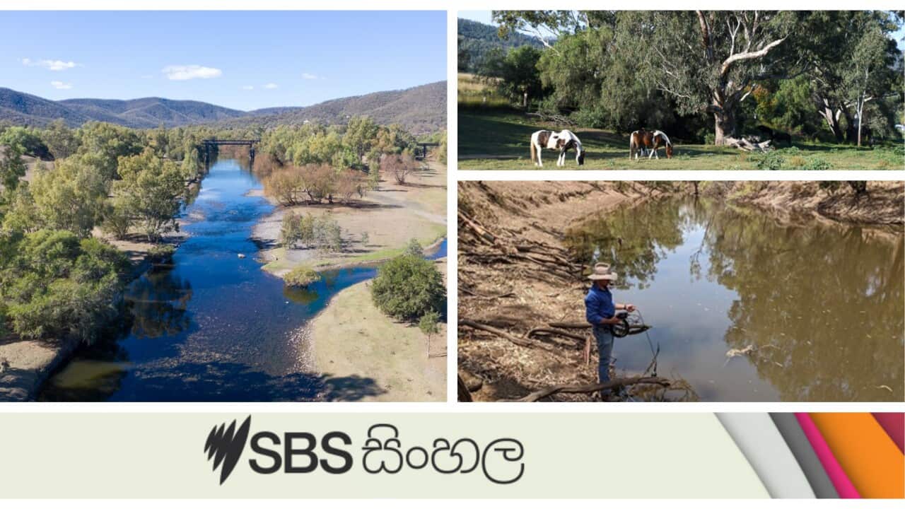 Traveling to Warialda and Bingara diamond towns in New South Wales