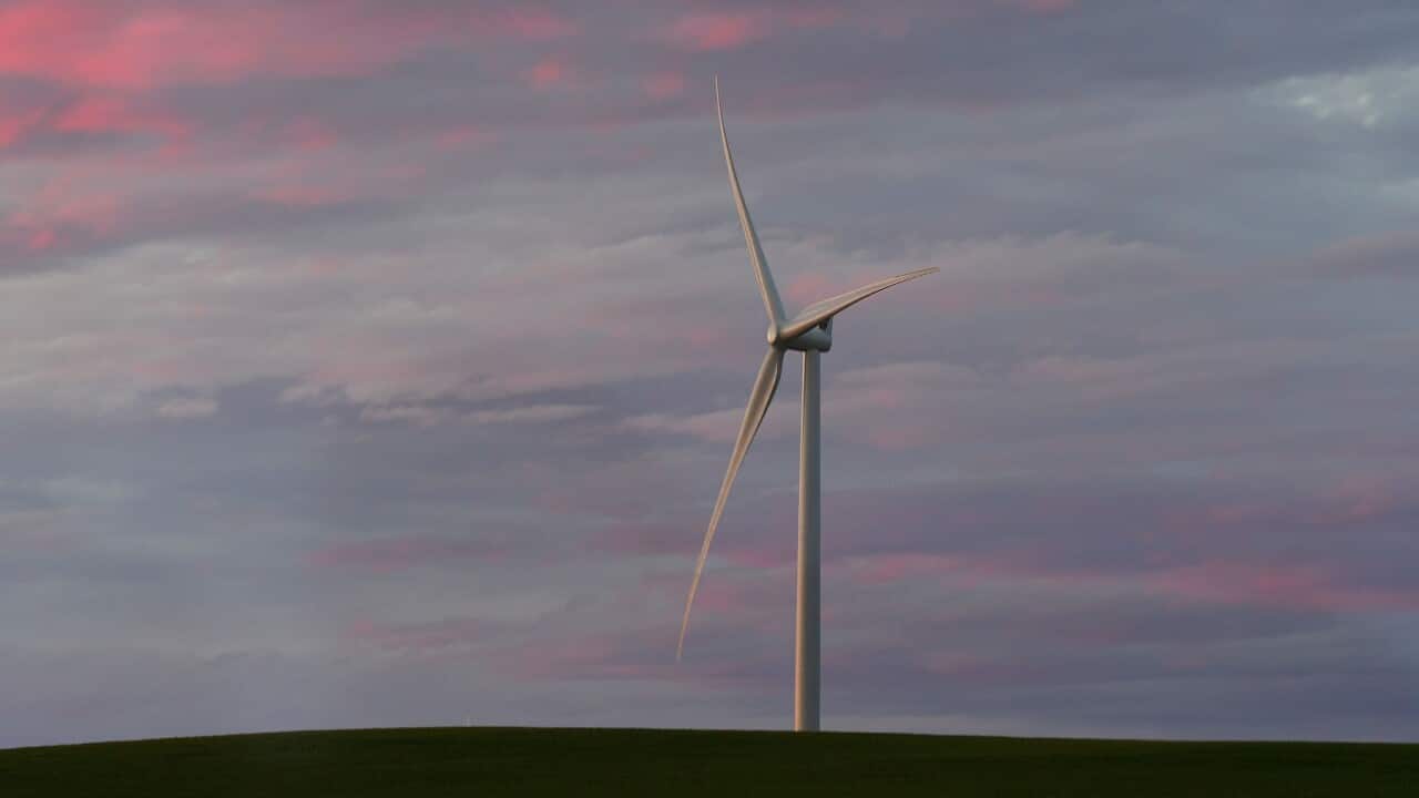Hornsdale wind farm in Adelaide