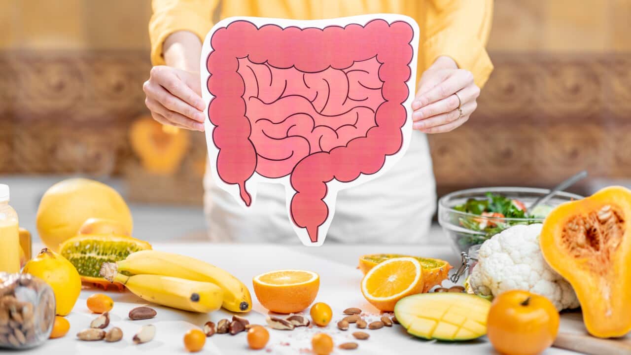 Put simply, postbiotics are the by-products of the fermentation process in our guts.