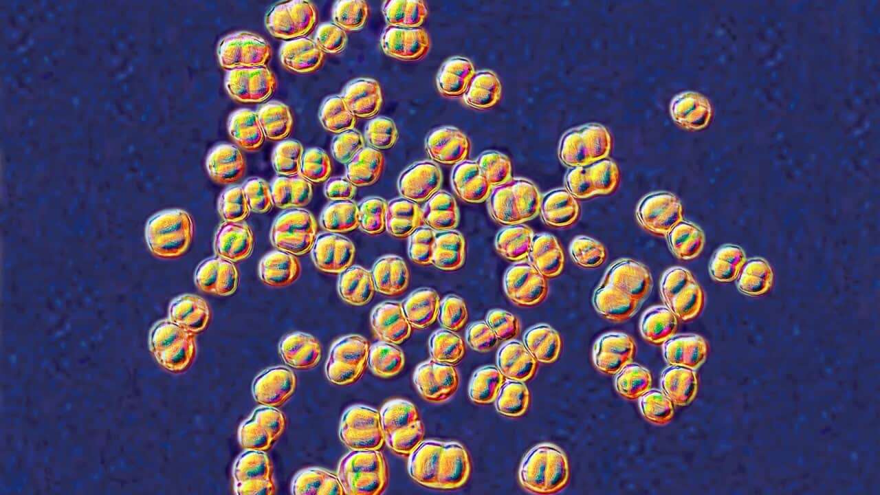 Image for read more article 'READ MORE'