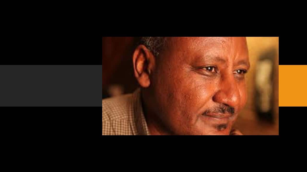 Prof Ayele Bekerie