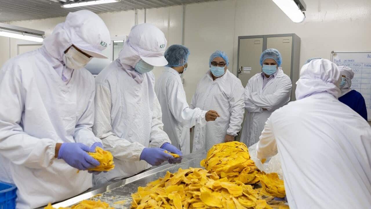 Cambodia dry mango.jpg