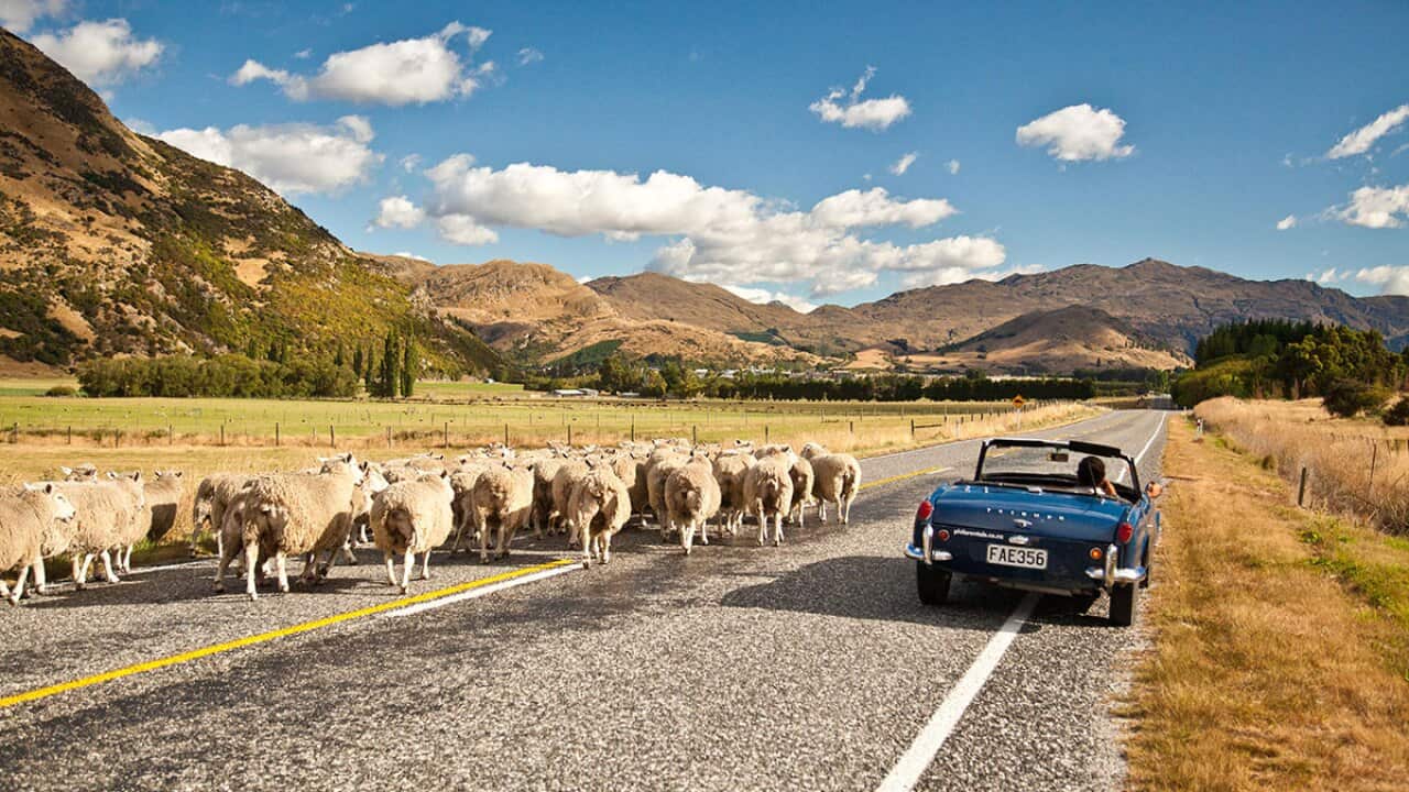 Destination-Flavour-Down-Under-Ep-10-NZ-2.jpg