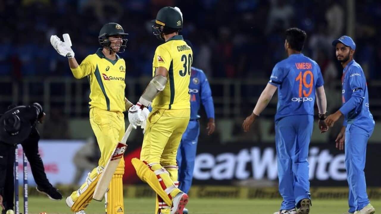 India Australia Cricket