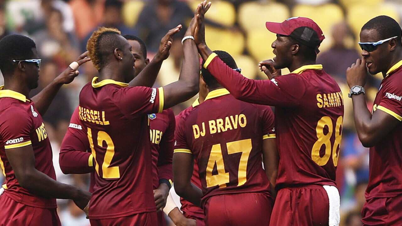 West Indies players celebrate after claiming a wicket