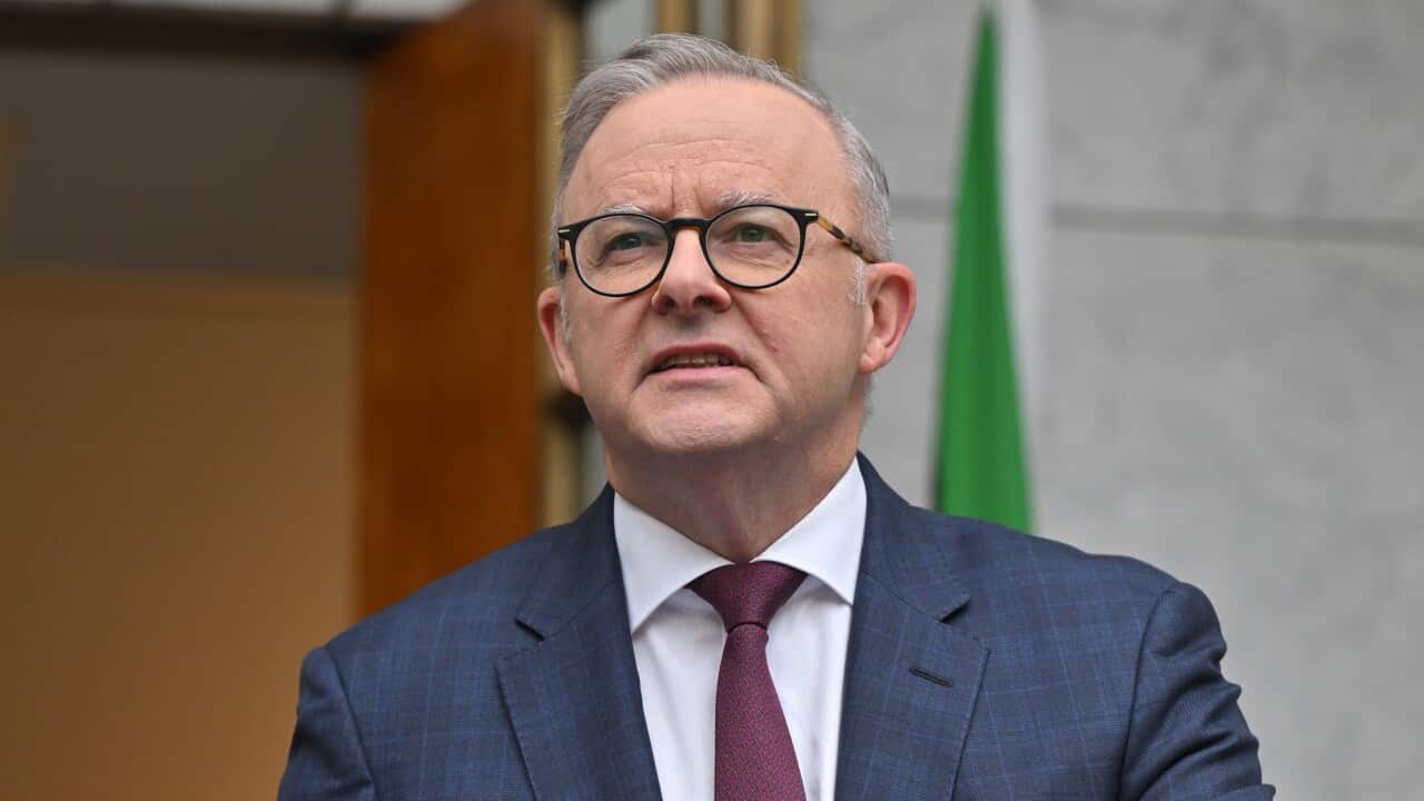 Anthony Albanese, wearing a blue suit and maroon tie.