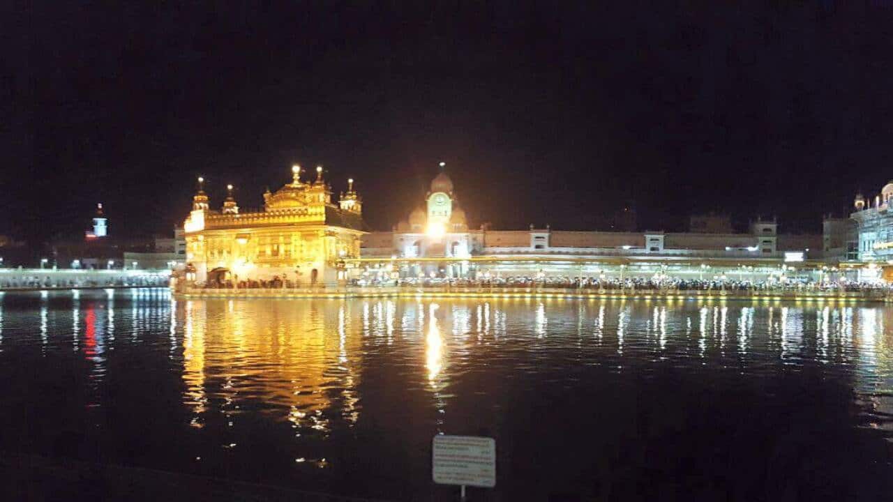 Image for read more article 'More from SBS Punjabi'