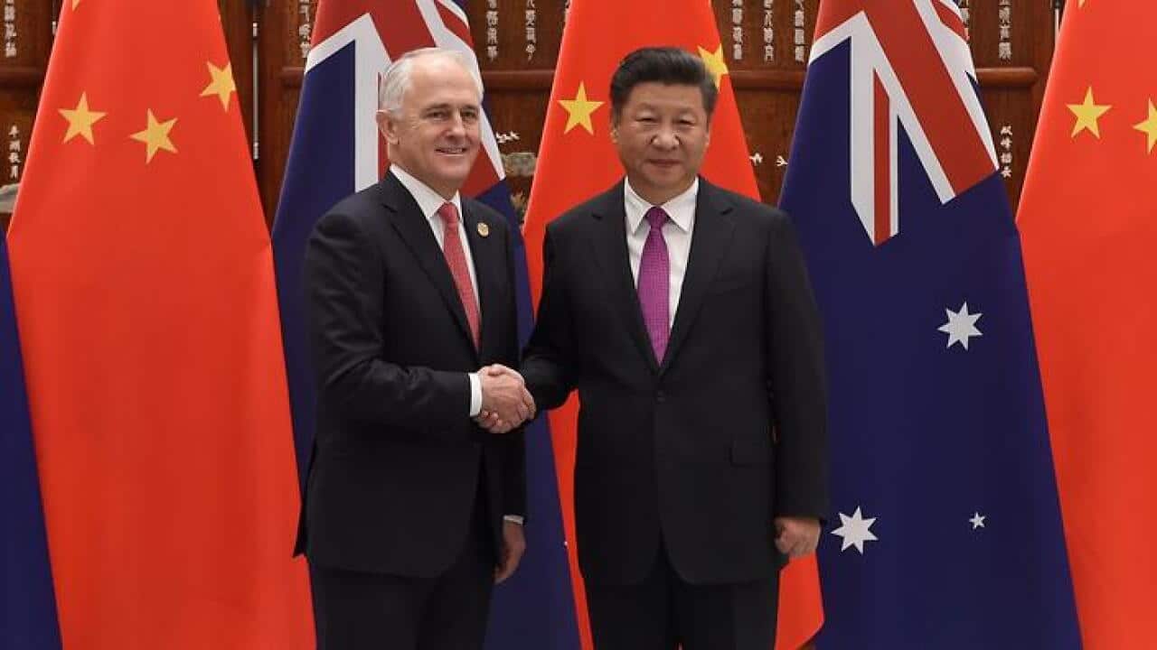 Australia's Prime Minister Malcolm Turnbull (L) shakes hands with Chinese President Xi Jinping