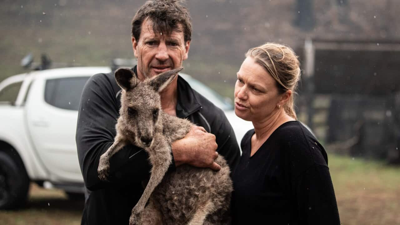 Image for read more article ''