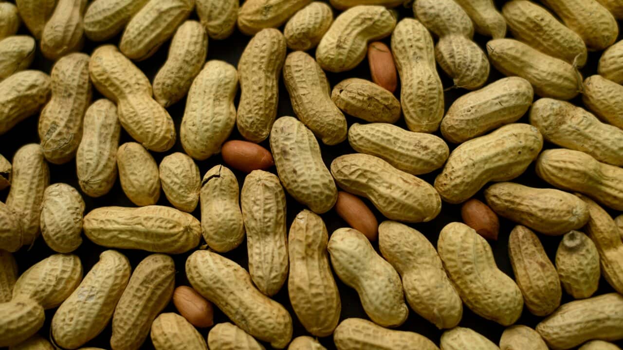 Peanut Allergy Treatment