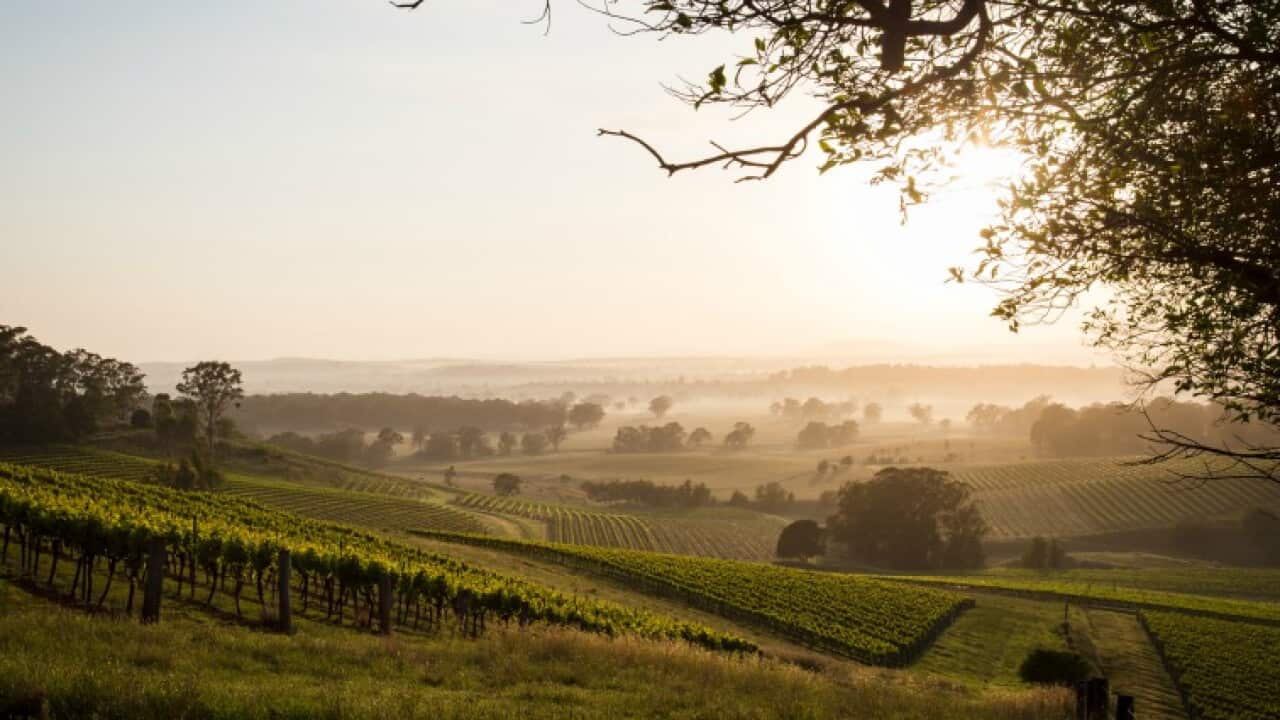 Yarra Valley Winerist