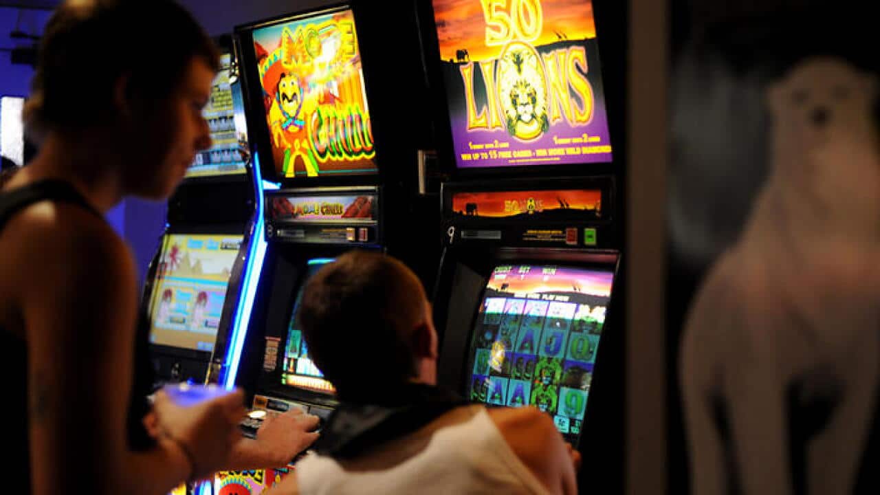 People in NSW have lost a collective $5.46bn to club pokies in just a year, the NSW Greens say.
