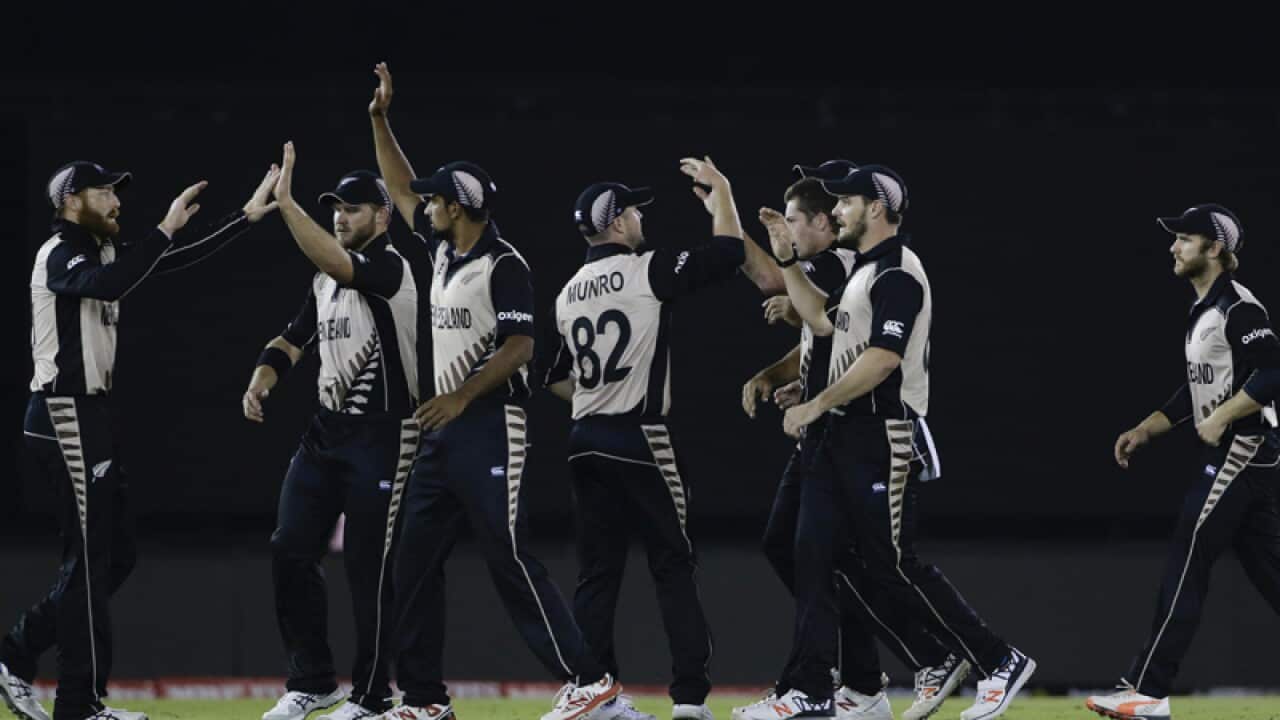 New Zealand cricketers celebrate
