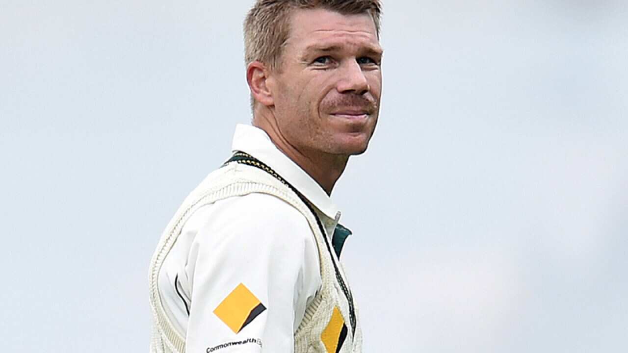 Australian batsman David Warner