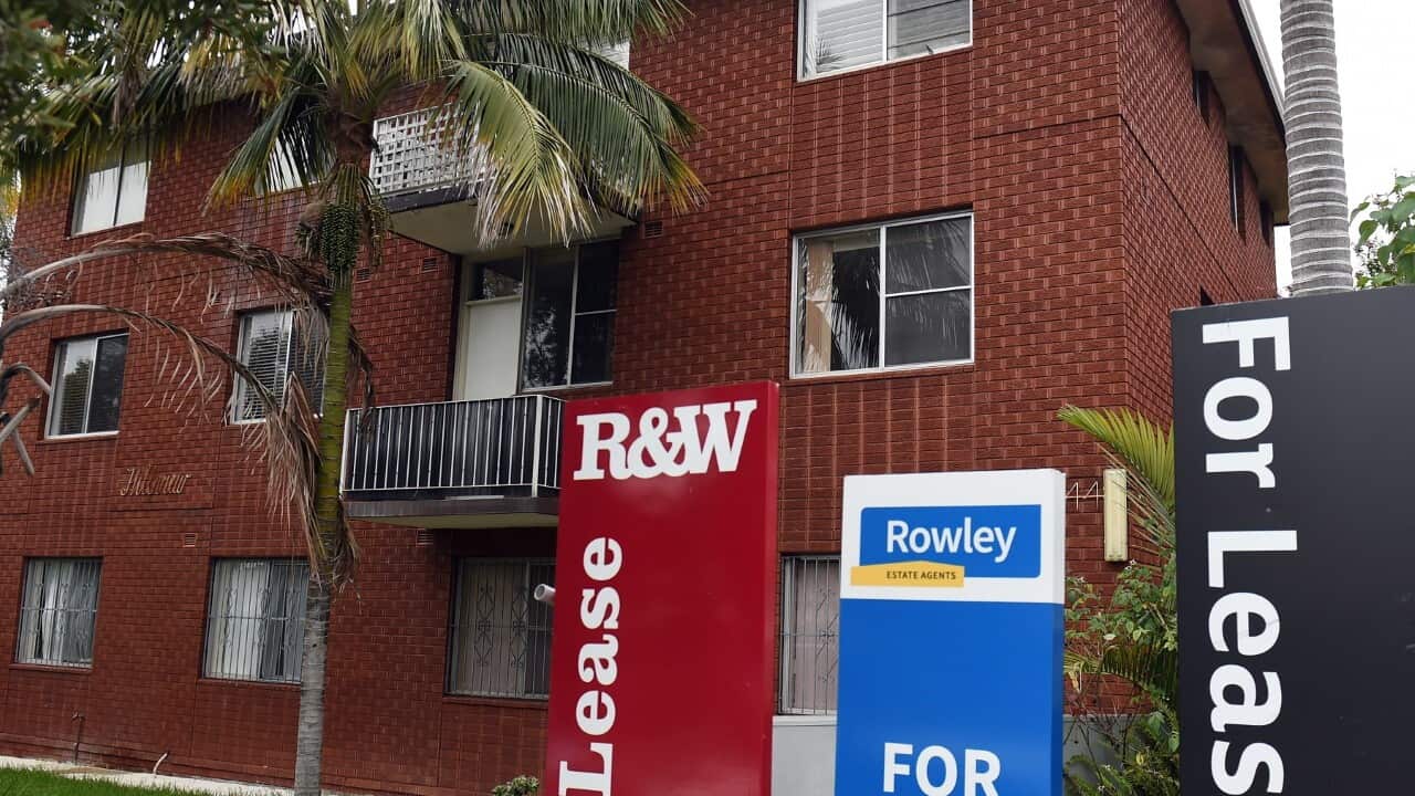 Sydney'de bir apartmanın önündeki kiralık tabelaları