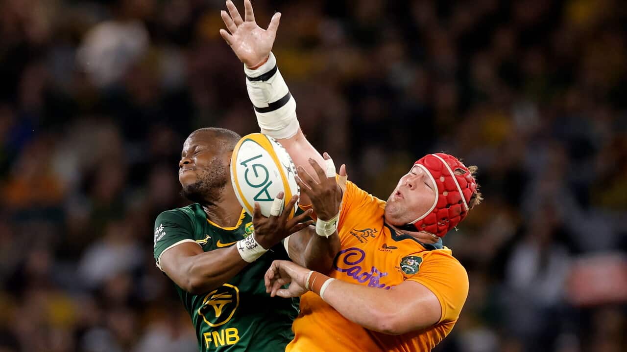 RUGBY UNION AUSTRALIA SOUTH AFRICA
