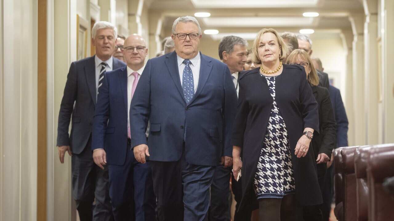 New leader Judith Collins with new deputy leader Gerry Brownlee