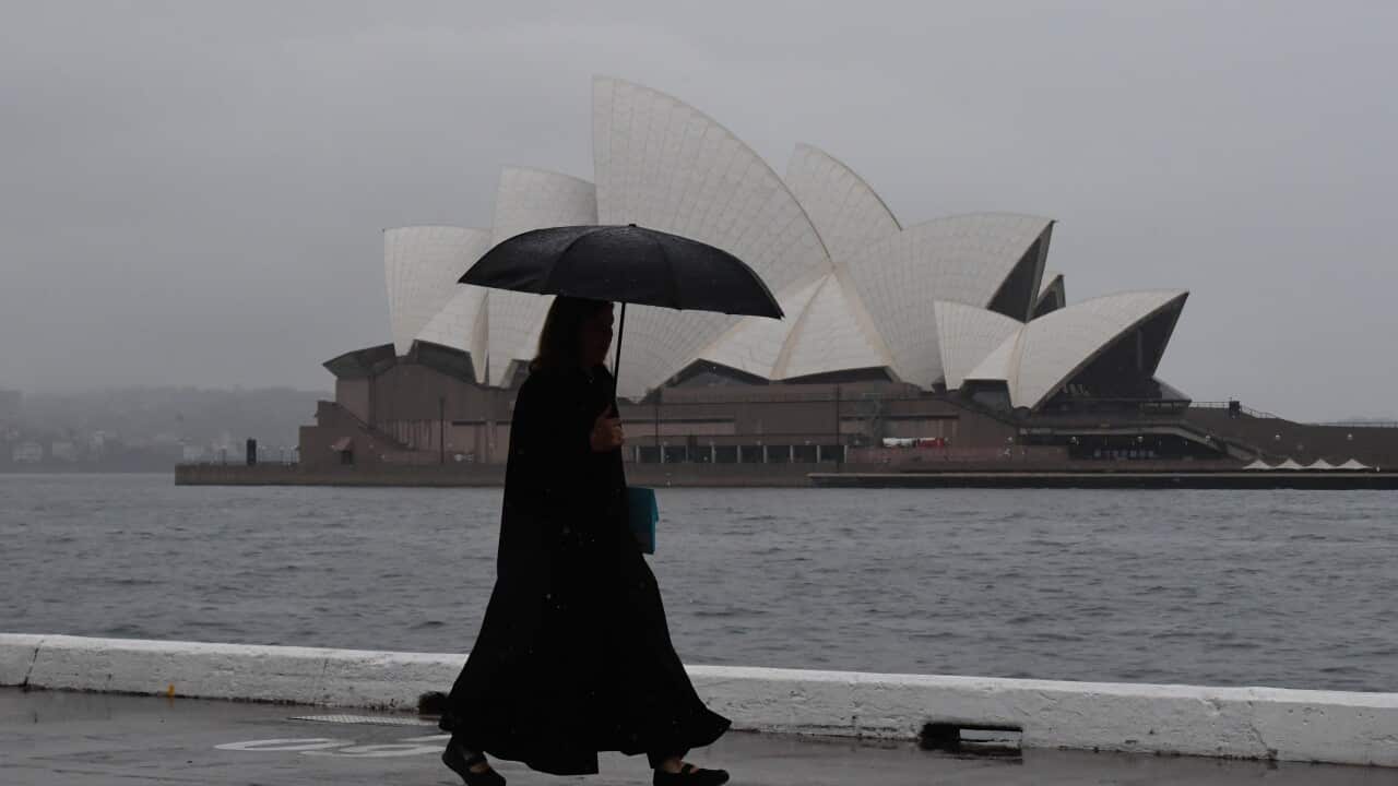 A pedestrian walks past the Sydney Opera House during wet weather in Sydney.