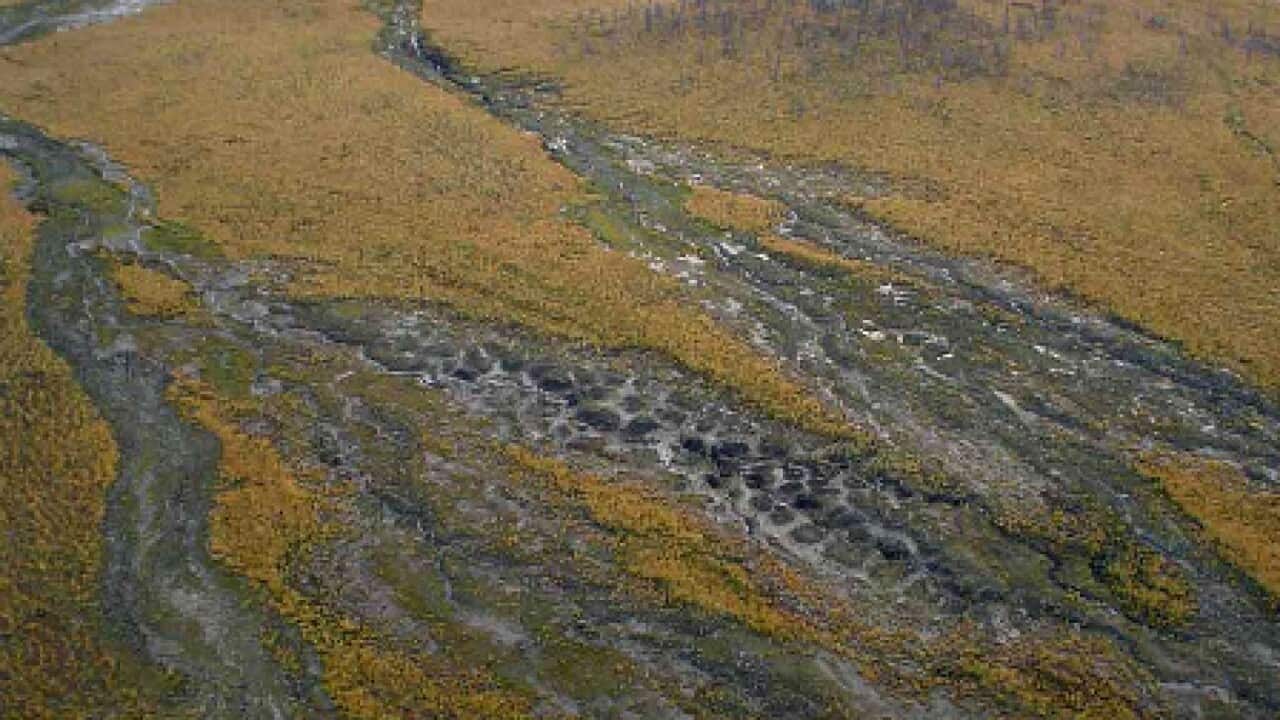 (AAP Image/Sergei Zimov) NO ARCHIVING, EDITORIAL USE ONLY