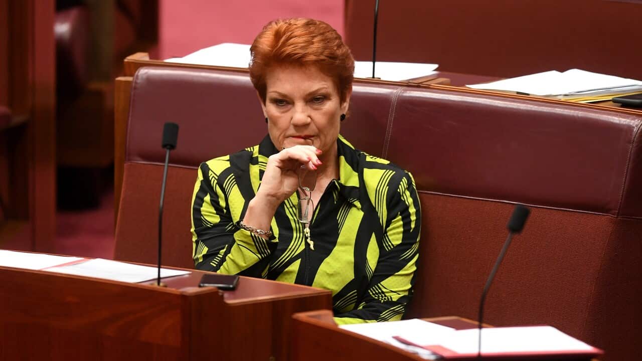 One Nation Leader Senator Pauline Hanson reacts during debate in the Senate Chamber at Parliament House in Canberra, Thursday, June 22, 2017. (AAP Image/Lukas Coch) NO ARCHIVING