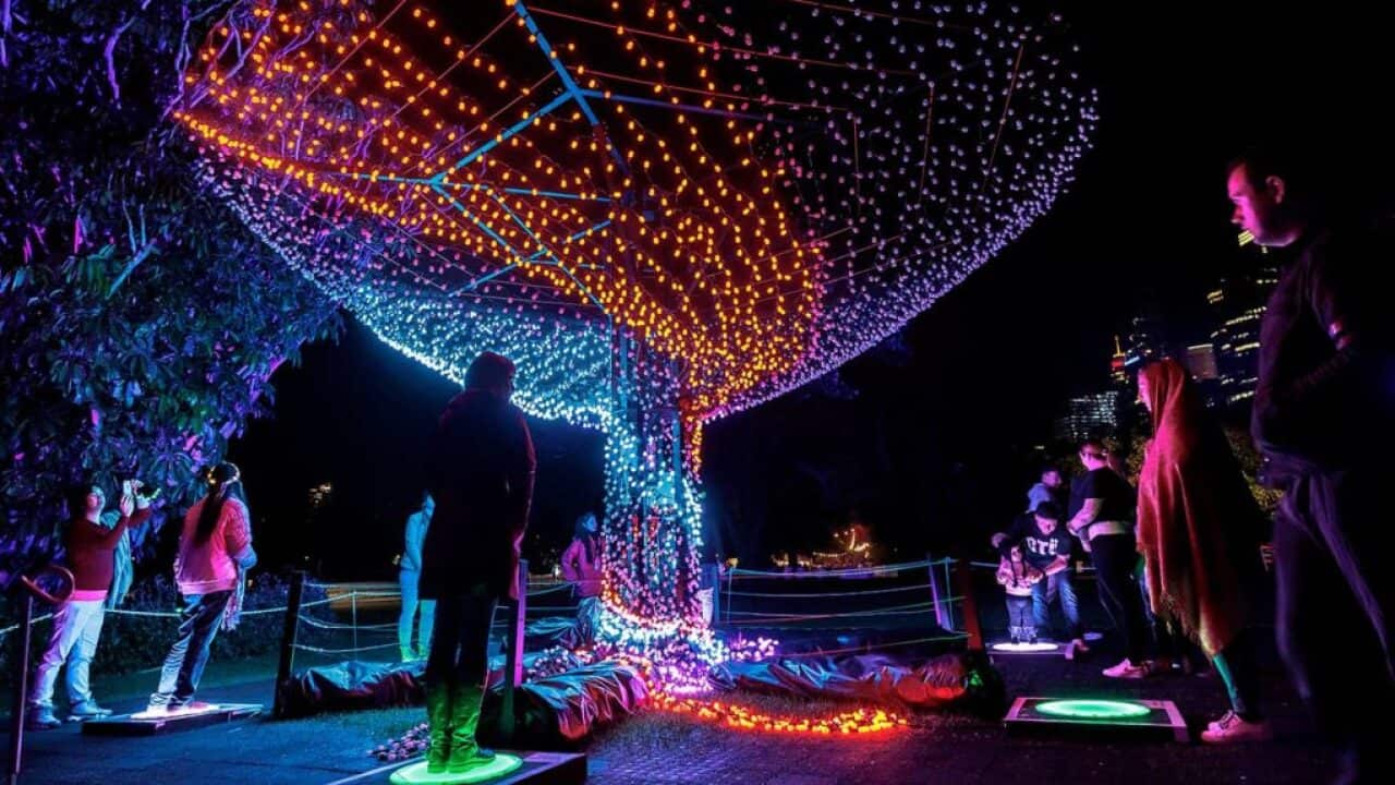Vivid Sydney