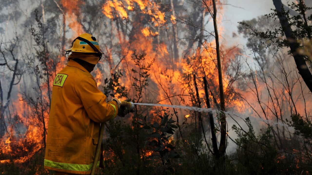 fire_flames_aap_131021