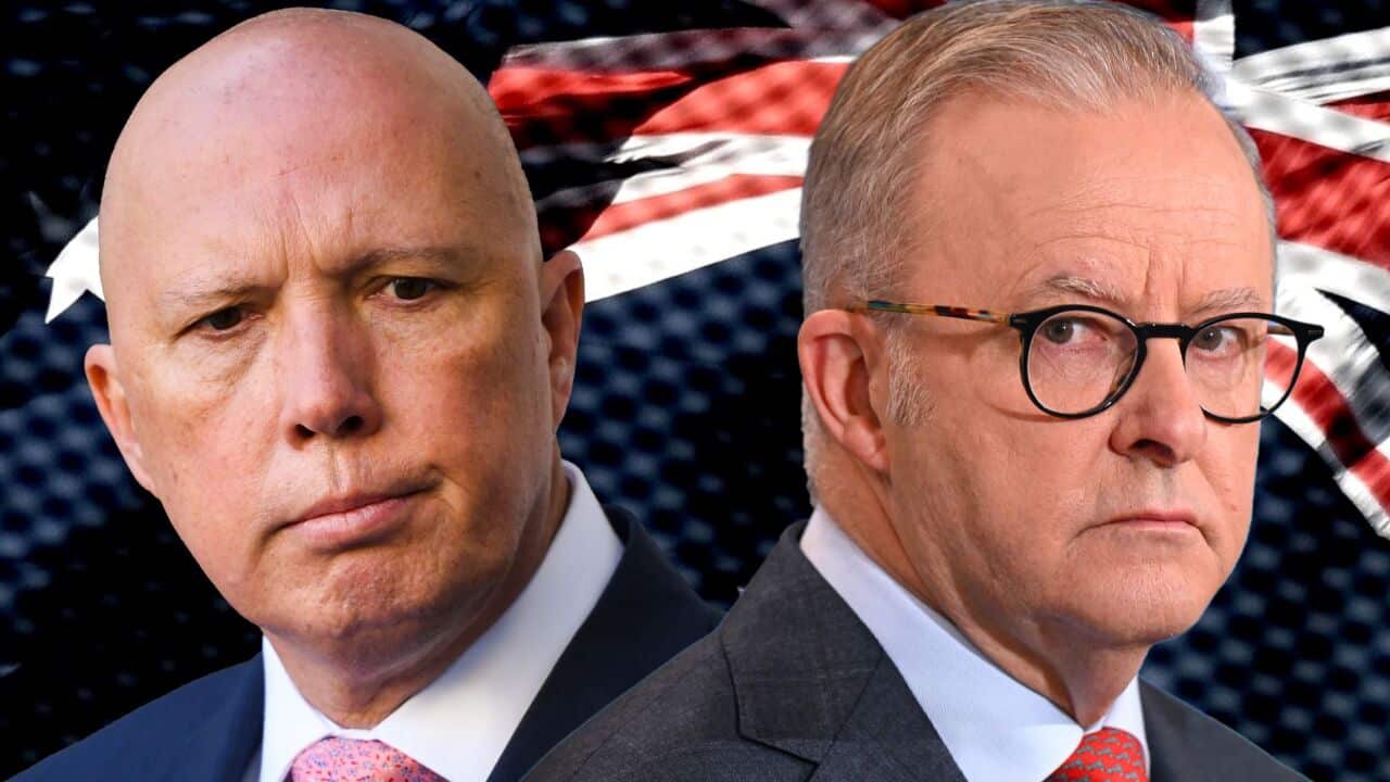 Image for read more article '更多內容'