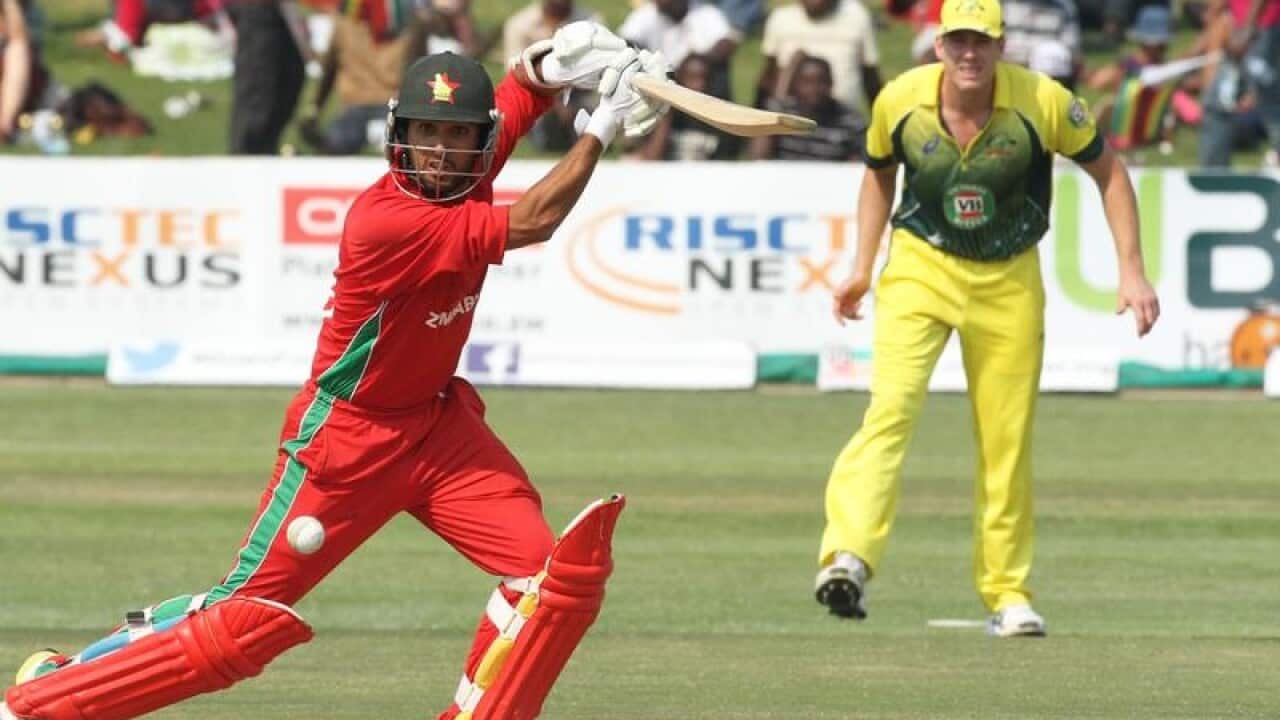 Zimbabwe cricket
