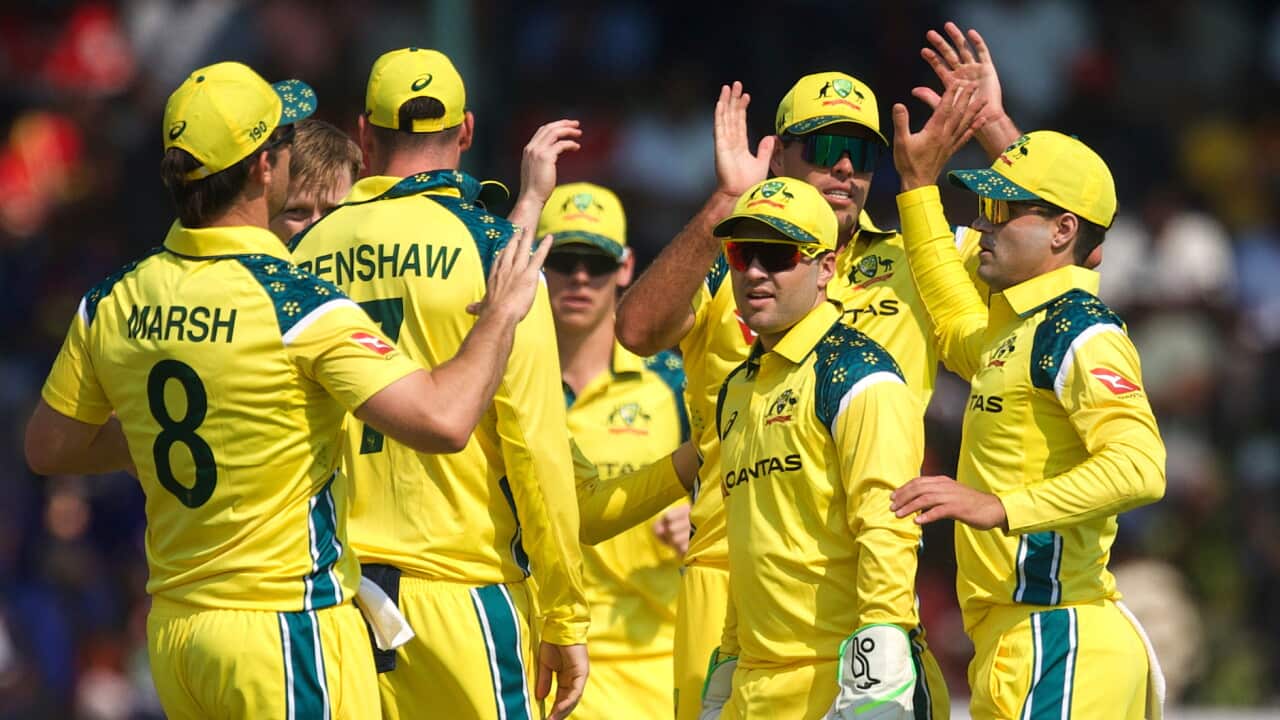 Zimbabwe Australia Cricket