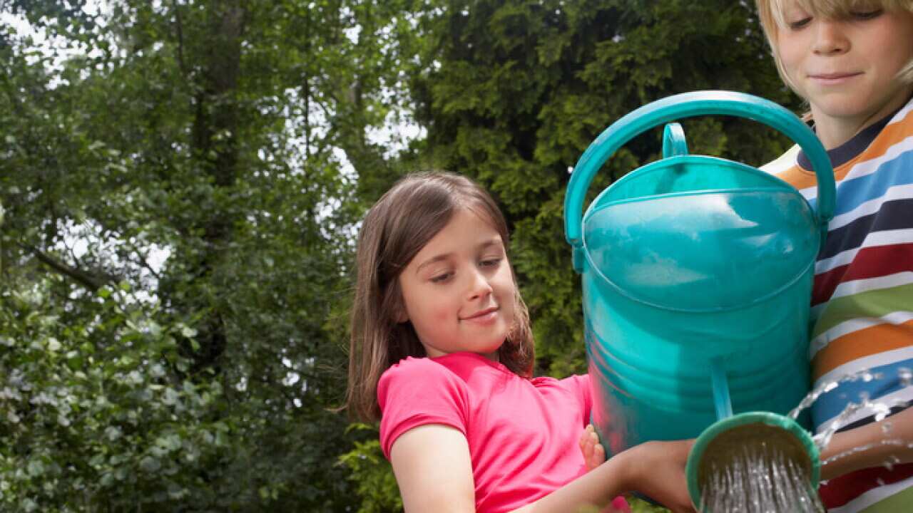 A boy and girl water a garden togetherr