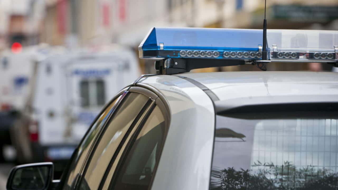 Police cars