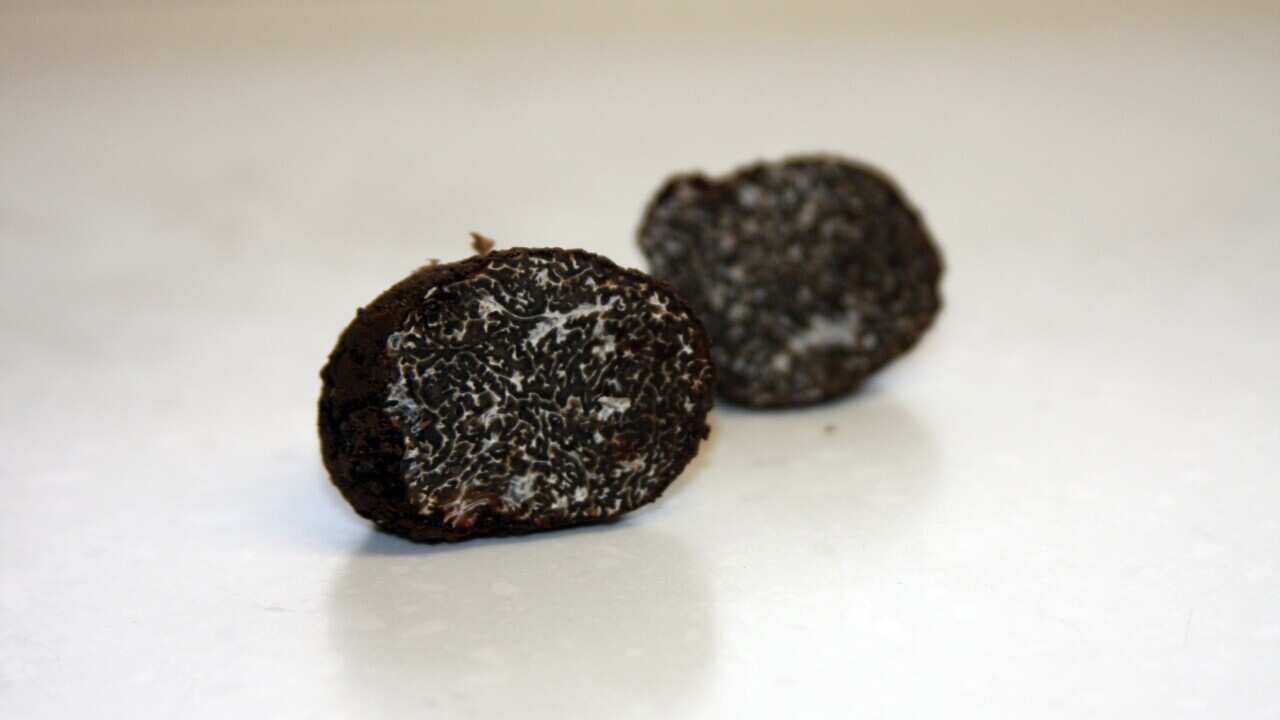 The mysterious but alluring truffle. (AAP)