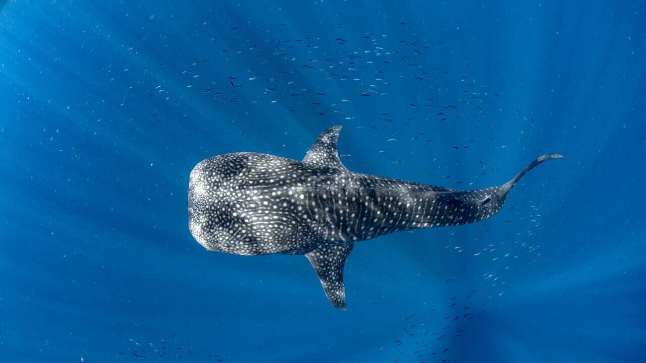 Image for read more article 'READ MORE'