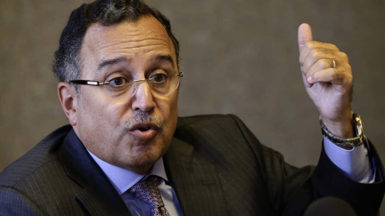 Egypt's interim foreign minister Nabil Fahmy