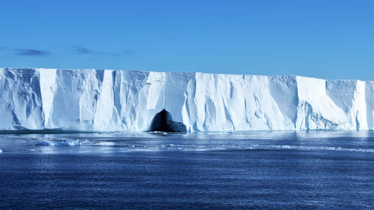 Photo : SBS Scientists are calling for a multi-national, co-ordinated effort to figure out how this area could affect everything on