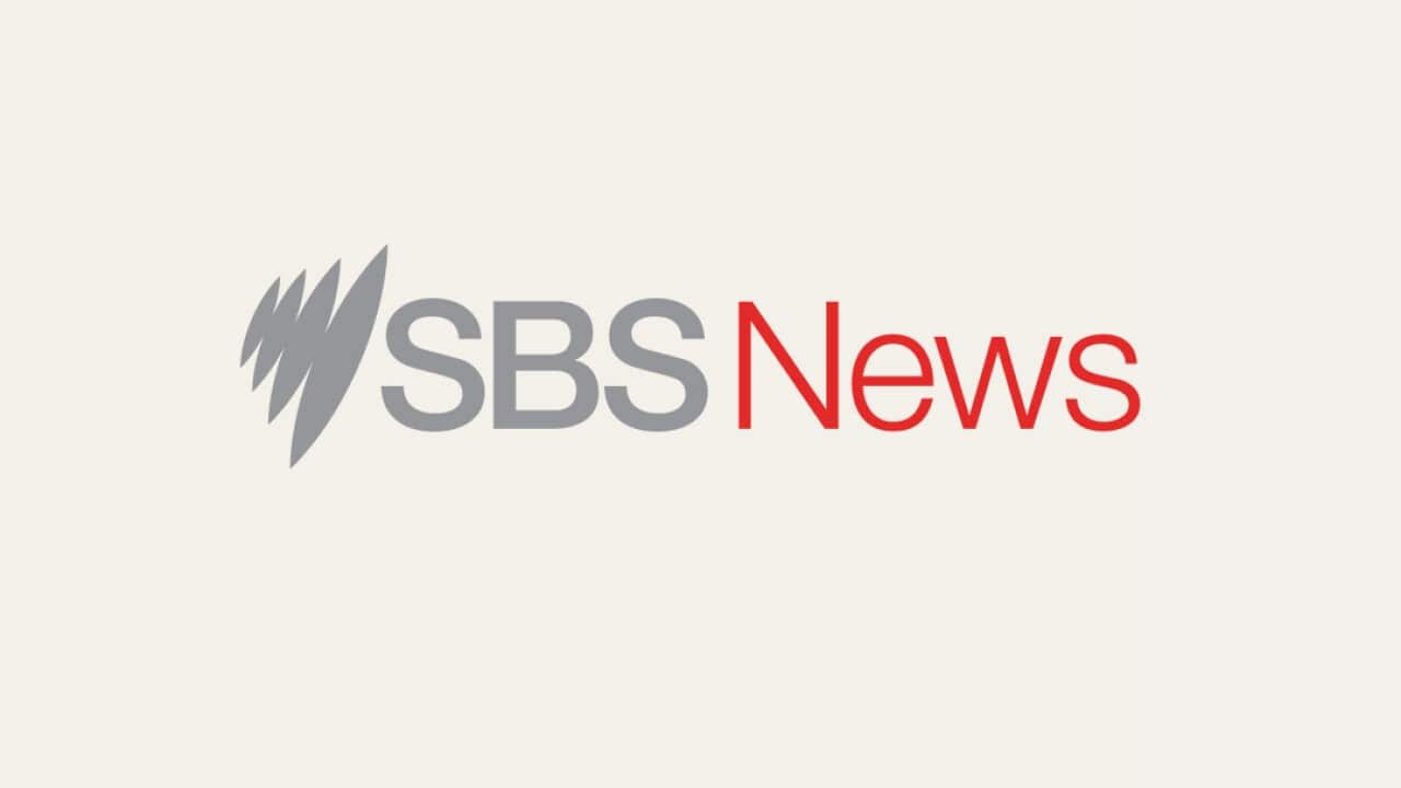 SBS news