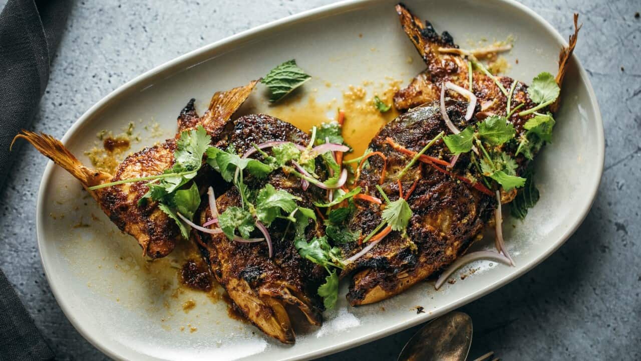 Grilled kingfish head and wings