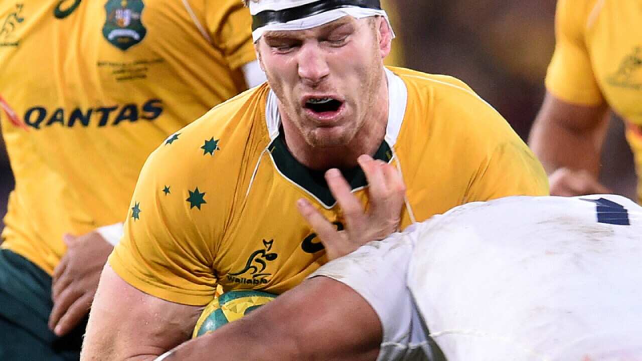 David Pocock of the Australian Wallabies