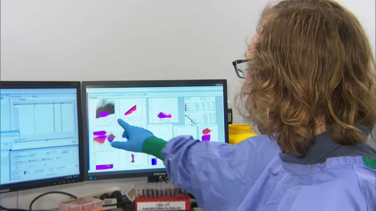 Working on reducing the impact of hayfever (SBS).jpg