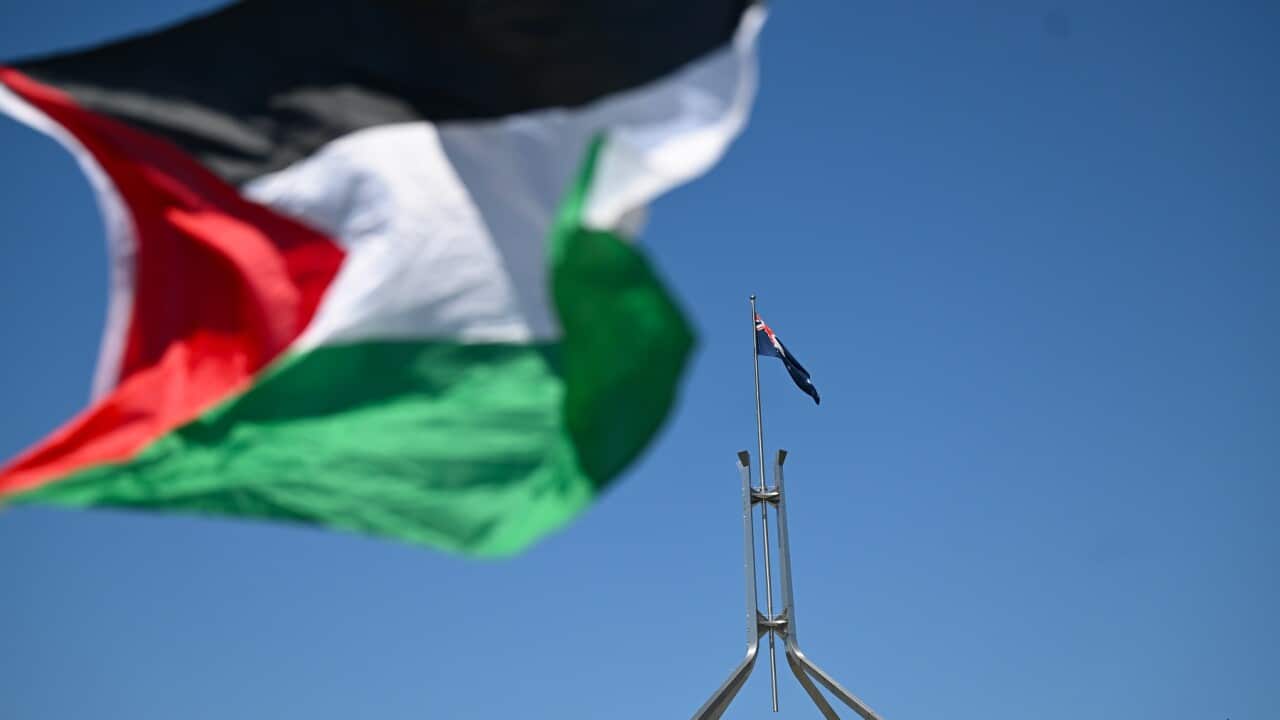FREE PALESTINE RALLY CANBERRA