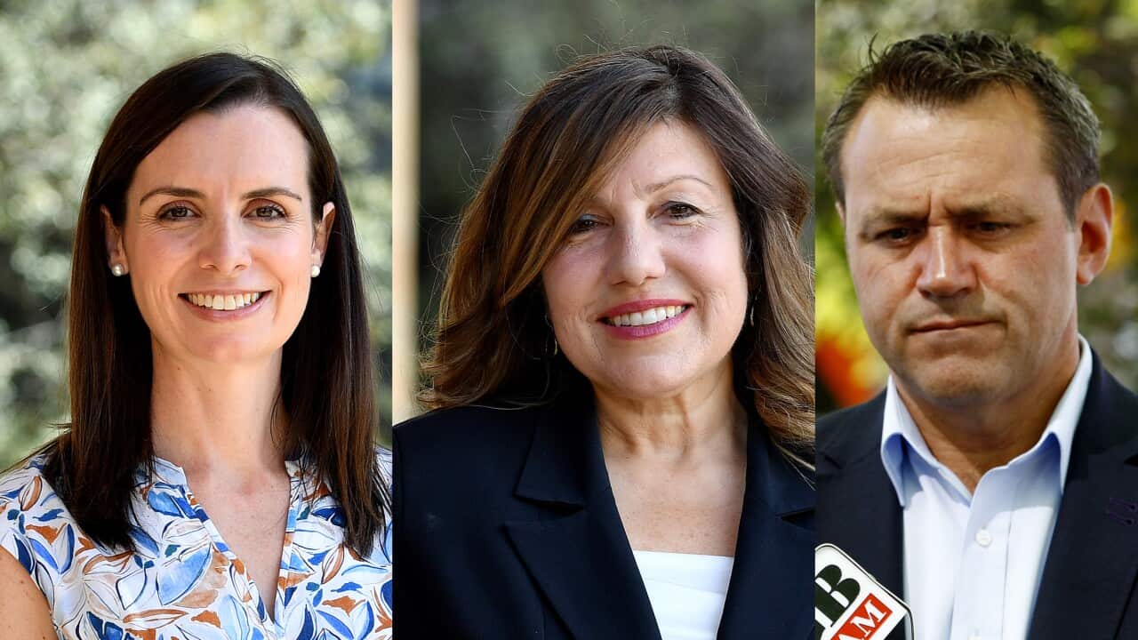 Courtney Houssos, Sophie Cotsis, Steve Kamper