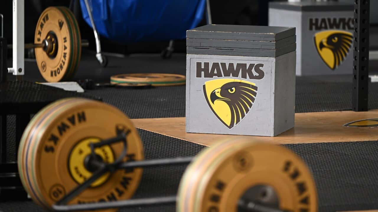 AFL HAWTHORN FOOTBALL CLUB STOCK