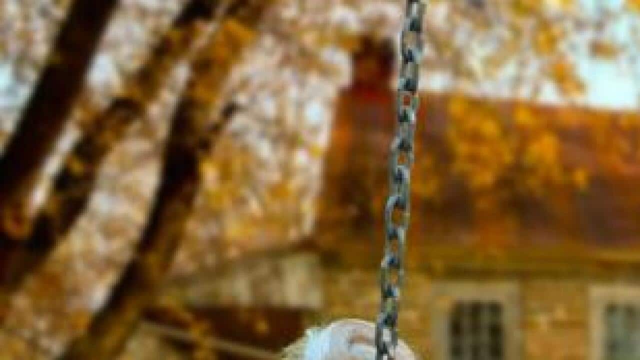 استمتع بكل مراحل عمرك وابتعد عمن يقول لك " لا يمكنك ارتداء هذا اللون، انه لا يليق بعمرك"