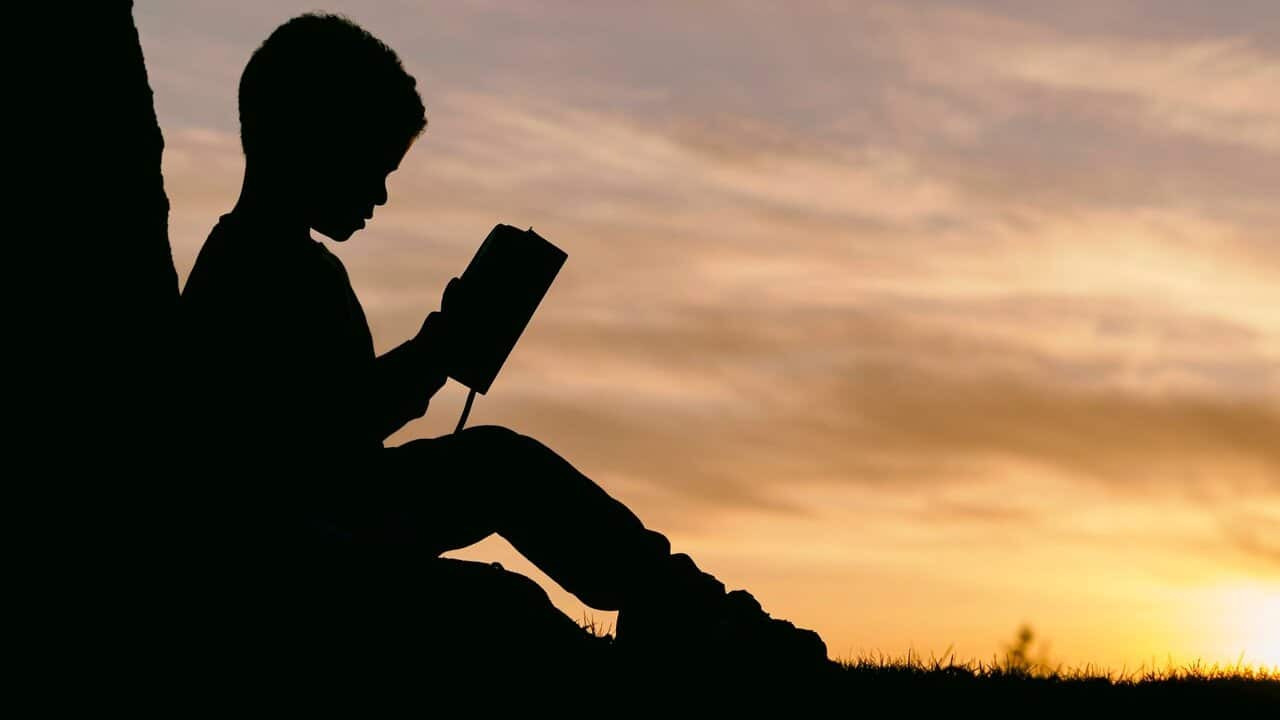 silhouetted child reading book under tree at sunset