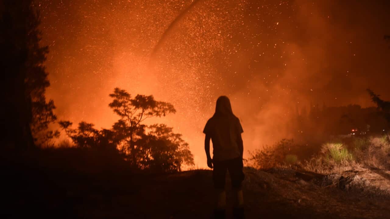 A photo from a fire zone in North Attica, Greece,