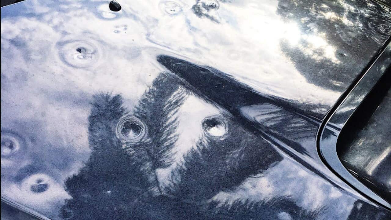 Image for read more article ''