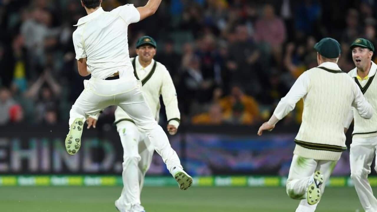 cricket