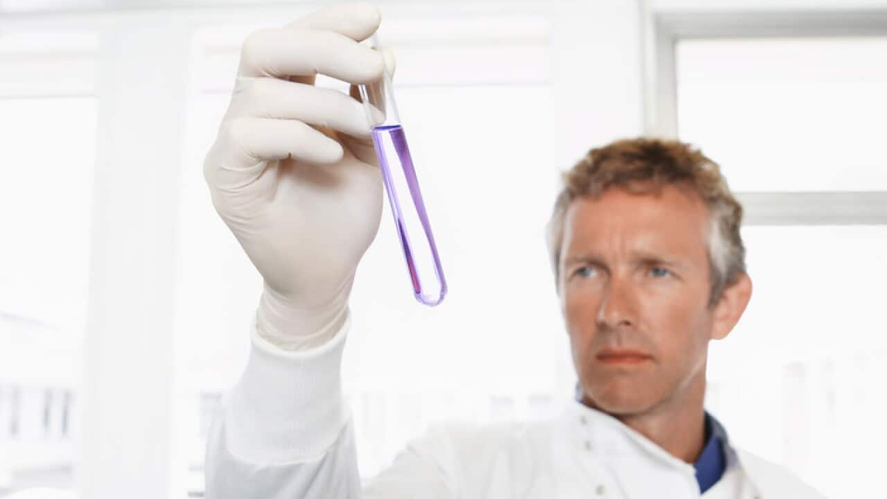 Male lab worker holding petri dish to the light